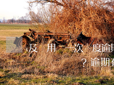 及貸用過一次額度逾期過兩天，還能再次使用嗎？逾期有何影響？